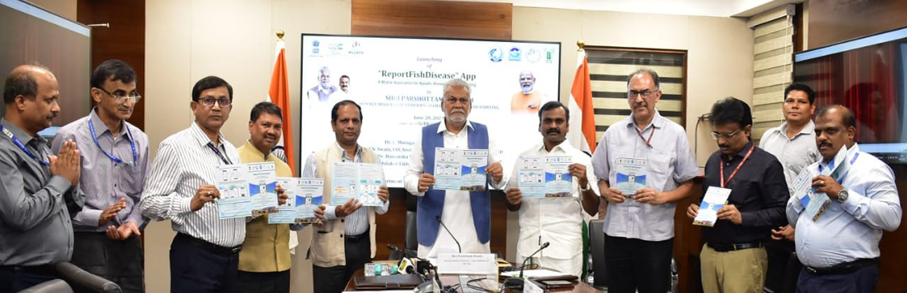 ICAR-NBFGR’s “ReportFishDisease” App, launched by the Honourable Minister of Fisheries, Govt. of India