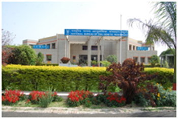 Ganga aquarium new arrivals