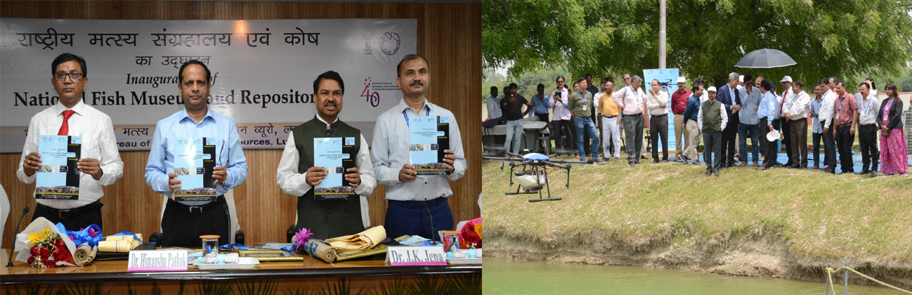 Inauguration of National Fish Museum & Repository at ICAR-NBFGR