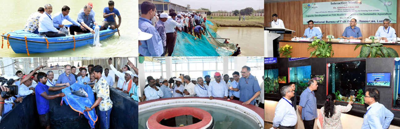 Honourable Dr. Abhilaksh Likhi, IAS, OSD, Ministry of Fisheries, AHD lauds the research efforts of ICAR-NBFGR