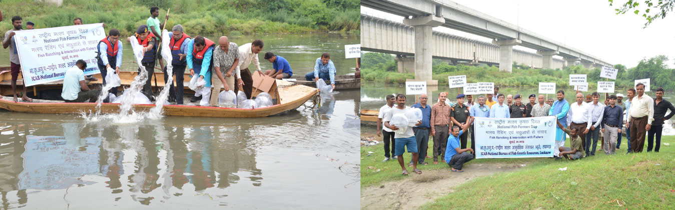 National Fish Farmer