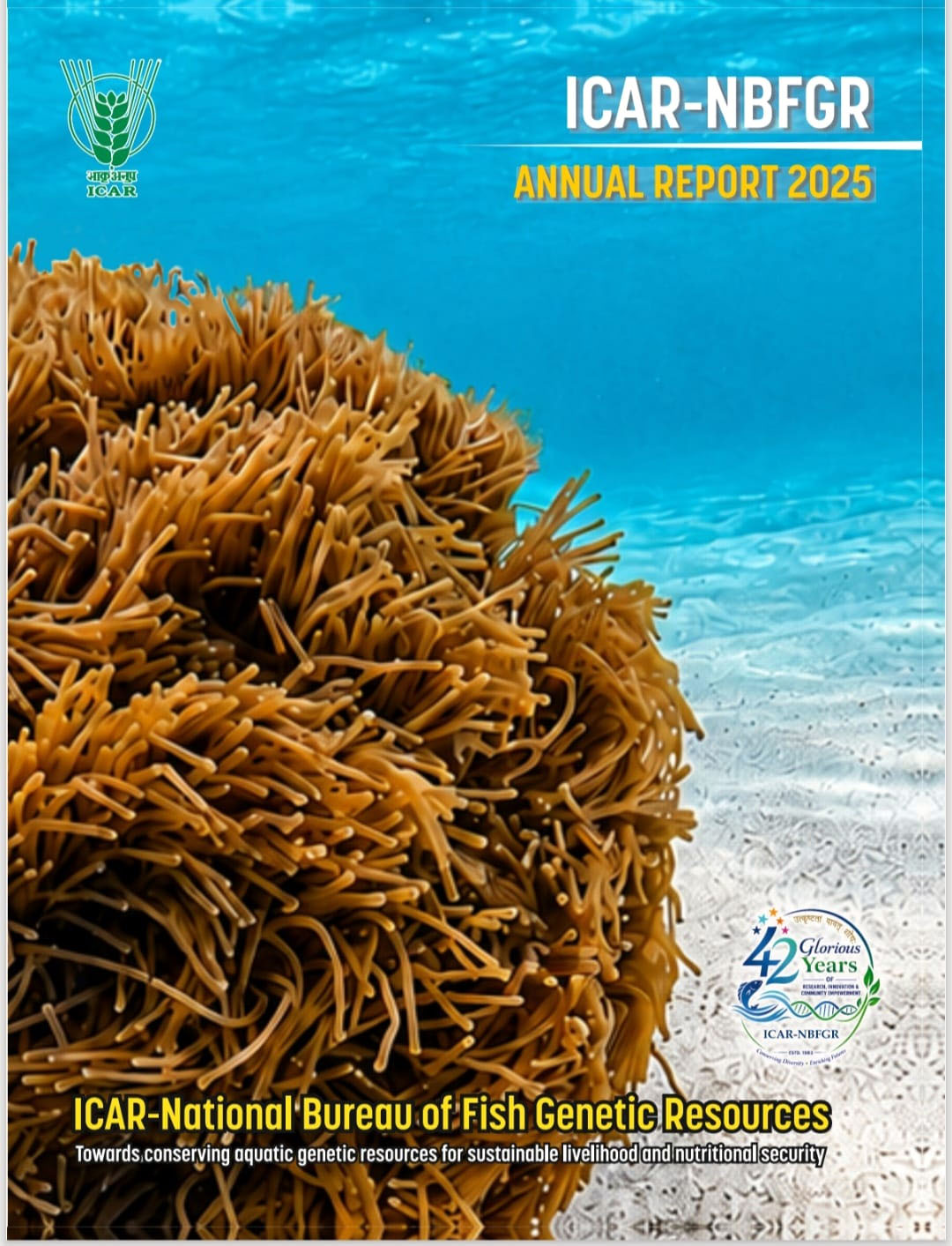 annualreport_20