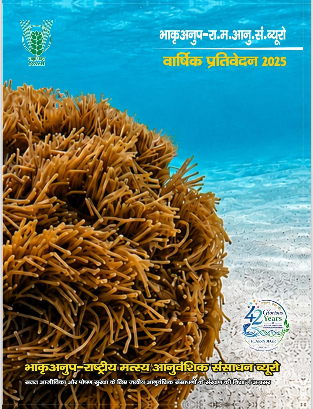 annualreport_20